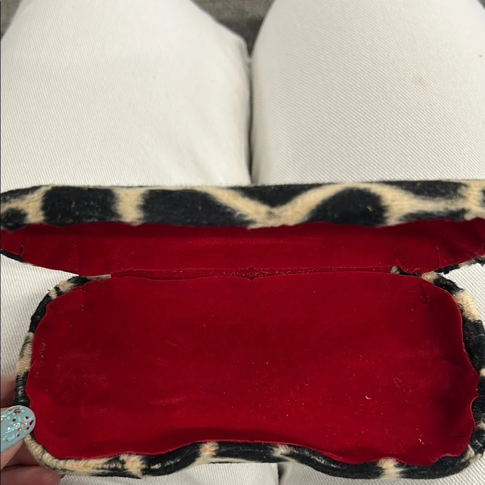 Leopard Print Sunglasses Case